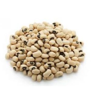 Beans-White