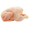 Frozen Whole Layer Chicken _1 kg - 1,990