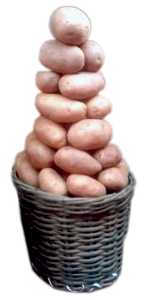 Irish Potato - Small Basket - 2,900